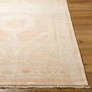Surya Anadolu AAU-2305 Area Rug Angle