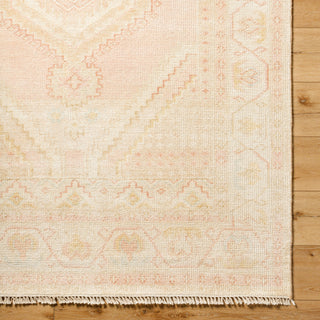 Surya Anadolu AAU-2305 Area Rug Detail