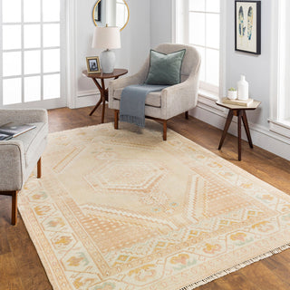 Surya Anadolu AAU-2305 Area Rug Room Scene Feature