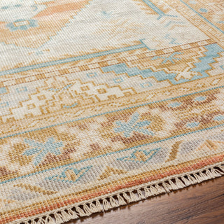Surya Anadolu AAU-2306 Area Rug Detail