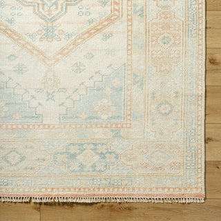 Surya Anadolu AAU-2309 Area Rug Detail