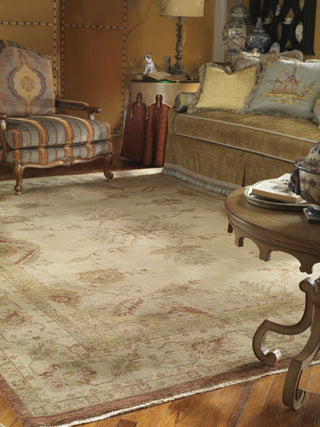 Ancient Boundaries Abigail ABI-959 Beige Area Rug Closeup Image