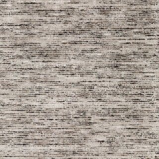 Dalyn Arcata AC1 Ebony Area Rug Swatch Image