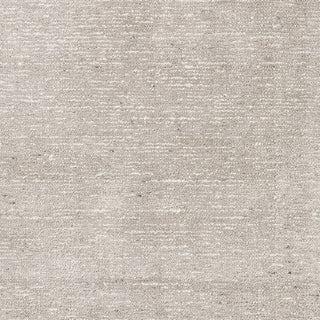 Dalyn Arcata AC1 Ivory Area Rug Swatch Image