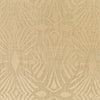 Surya Accra ACA-001 Wheat 