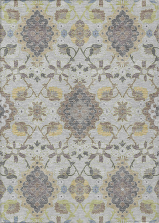 Piper Looms Chantille Oriental ACN1002 Gray Machine Washable Area Rug main image