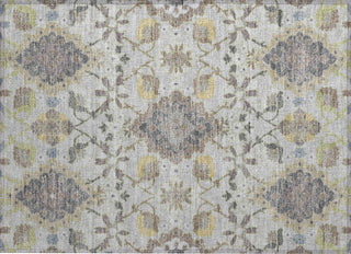 Piper Looms Chantille Oriental ACN1002 Gray Machine Washable Area Rug Scatter Main Image