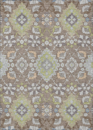 Piper Looms Chantille Oriental ACN1002 Taupe Machine Washable Area Rug main image