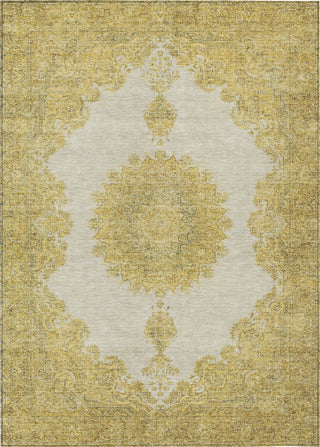 Piper Looms Chantille Oriental ACN1003 Gold Machine Washable Area Rug main image