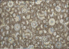 Piper Looms Chantille Floral ACN1006 Chocolate Machine Washable Area Rug Scatter Main Image