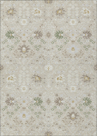 Piper Looms Chantille Traditional ACN1009 Beige Machine Washable Area Rug main image
