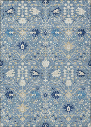 Piper Looms Chantille Traditional ACN1009 Denim Machine Washable Area Rug main image