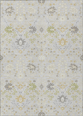 Piper Looms Chantille Traditional ACN1009 Silver Machine Washable Area Rug main image
