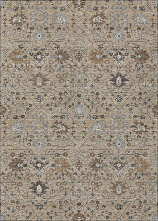 Piper Looms Chantille Traditional ACN1009 Taupe Machine Washable Area Rug main image