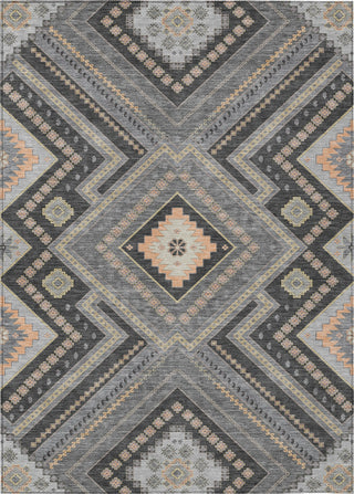 Piper Looms Chantille Tribal ACN1010 Gray Machine Washable Area Rug main image