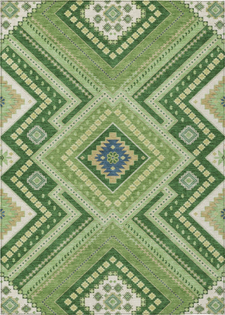 Piper Looms Chantille Tribal ACN1010 Green Machine Washable Area Rug main image