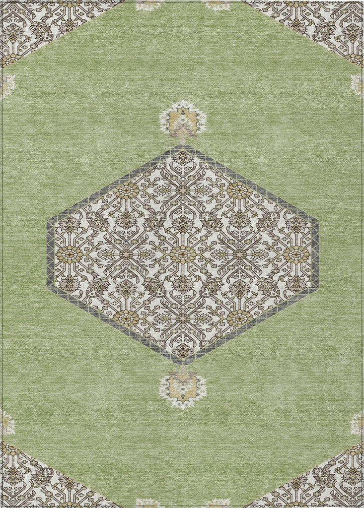 Piper Looms Chantille Oriental ACN1011 Aloe Machine Washable Area Rug main image