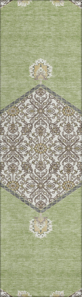 Piper Looms Chantille Oriental ACN1011 Aloe Machine Washable Area Rug Runner Main Image