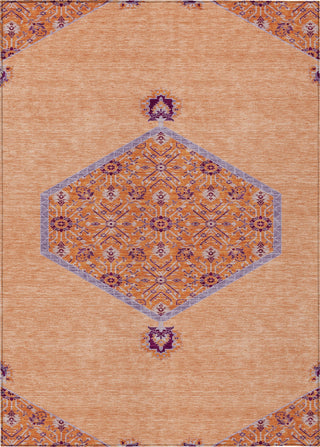 Piper Looms Chantille Oriental ACN1011 Peach Machine Washable Area Rug main image