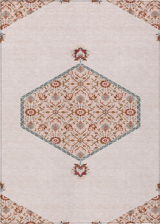 Piper Looms Chantille Oriental ACN1011 Pink Machine Washable Area Rug main image