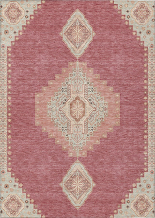 Piper Looms Chantille Oriental ACN1014 Blush Machine Washable Area Rug main image