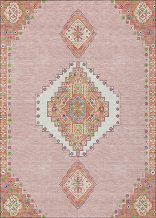 Piper Looms Chantille Oriental ACN1014 Pink Machine Washable Area Rug main image