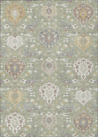 Piper Looms Chantille Damask ACN1026 Aloe Machine Washable Area Rug main image