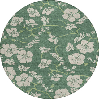 Piper Looms Chantille Floral ACN1034 Sage Machine Washable Area Rug Round Main Image