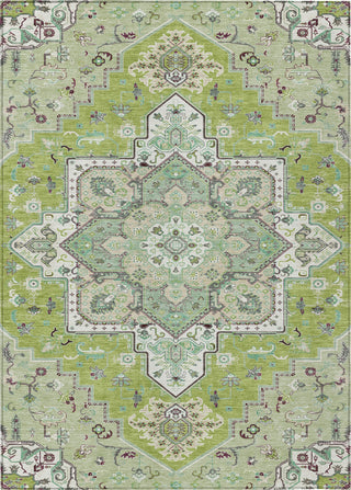 Piper Looms Chantille Oriental ACN1036 Green Machine Washable Area Rug main image