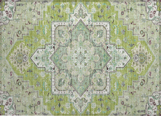 Piper Looms Chantille Oriental ACN1036 Green Machine Washable Area Rug Scatter Main Image