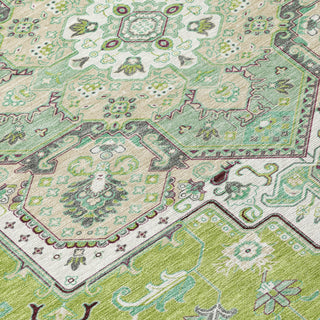 Piper Looms Chantille Oriental ACN1036 Green Machine Washable Area Rug Swatch Image