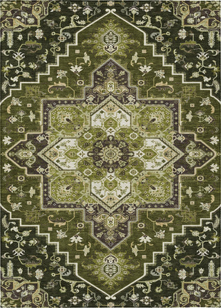 Piper Looms Chantille Oriental ACN1036 Olive Machine Washable Area Rug main image