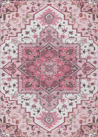 Piper Looms Chantille Oriental ACN1036 Pink Machine Washable Area Rug main image