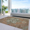 Piper Looms Chantille Oriental ACN1036 Rust Machine Washable Area Rug Outdoor Lifestyle Image Feature