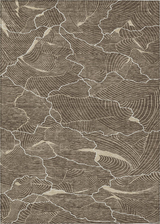 Piper Looms Chantille Lines ACN1048 Brown Machine Washable Area Rug main image