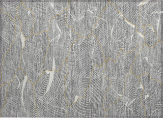 Piper Looms Chantille Lines ACN1048 Gray Machine Washable Area Rug Scatter Main Image