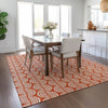 Piper Looms Chantille Swirls ACN1055 Coral Machine Washable Area Rug Lifestyle Image Feature