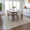 Piper Looms Chantille Lines ACN1060 Beige Machine Washable Area Rug Lifestyle Image Feature
