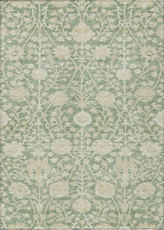 Piper Looms Chantille Floral ACN1086 Aloe Machine Washable Area Rug main image