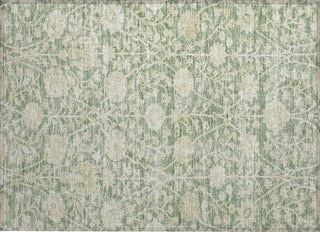 Piper Looms Chantille Floral ACN1086 Aloe Machine Washable Area Rug Scatter Main Image