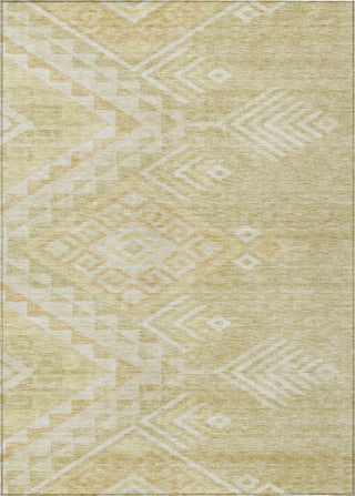Piper Looms Chantille Global ACN1091 Tan Machine Washable Area Rug main image