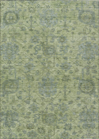 Piper Looms Chantille Damask ACN1105 Aloe Machine Washable Area Rug main image