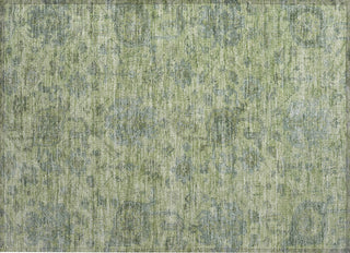 Piper Looms Chantille Damask ACN1105 Aloe Machine Washable Area Rug Scatter Main Image