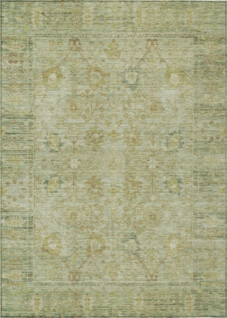 Piper Looms Chantille Global ACN1106 Sage Machine Washable Area Rug main image