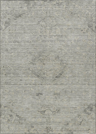 Piper Looms Chantille Global ACN1111 Pewter Machine Washable Area Rug main image