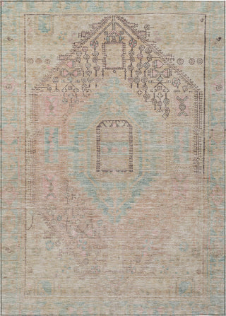 Piper Looms Chantille Global ACN1134 Pink Machine Washable Area Rug main image