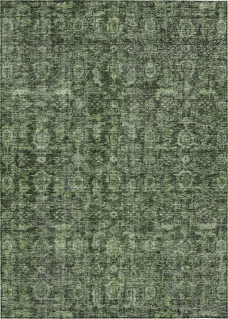 Piper Looms Chantille Damask ACN1145 Cactus Machine Washable Area Rug main image