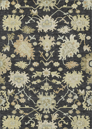 Piper Looms Chantille Global ACN1150 Black Machine Washable Area Rug main image