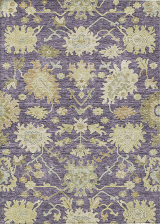 Piper Looms Chantille Global ACN1150 Eggplant Machine Washable Area Rug main image