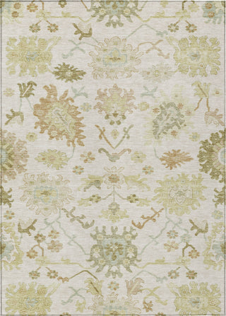 Piper Looms Chantille Global ACN1150 Ivory Machine Washable Area Rug main image